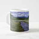 Recherche de denali tasses Alaska