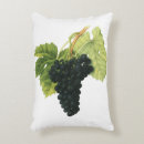 Recherche de biologie coussins Rétro