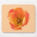 Recherche de tulipe orange tapis souris Photographie