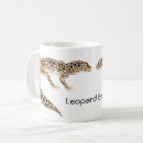 Recherche de geckoes tasses Reptile