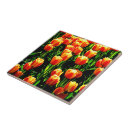 Recherche de tulipe carreaux Jardins