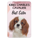 Recherche de soeur magnets Frigo