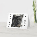 Recherche de cane corso cartes postales Mastiff