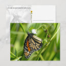 Recherche de papillon de monarque cartes postales Nature