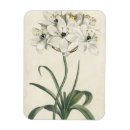 Recherche de étude magnets Fleurs