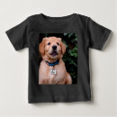 Recherche de chiot golden retriever bébé vêtements Animal