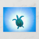 Recherche de coquille de tortue cartes postales Faune