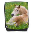 Recherche de poulain sacs Cheval