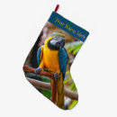 Recherche de oiseau bleu chaussette de noël Perroquet