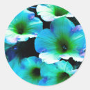 Recherche de pétunia autocollants Jardin
