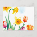 Recherche de jonquilles cartes postales Tulipes