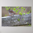 Recherche de perche posters Oiseaux