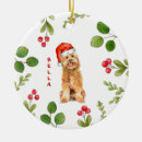 Recherche de memorial hats Chien