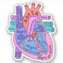 Recherche de cardiologie autocollants Infirmière