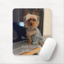 Recherche de terrier électronique Drôle