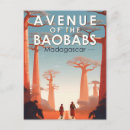Recherche de avenue cartes postales Avenue des baobabs