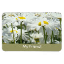 Recherche de marguerites magnets Pour elle