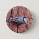 Recherche de observe des animaux badges Nature