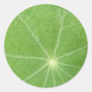 Recherche de veines autocollants Nature