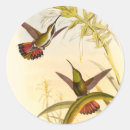 Recherche de colibri et fleur autocollants Oiseau