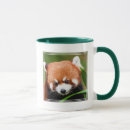 Recherche de panda chinois tasses Animaux mignons