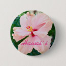 Recherche de hawaï badges Ketmie