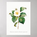 Recherche de illustration japonaise posters Botanique
