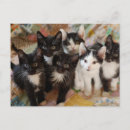 Recherche de baby cartes postales Cat