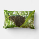 Recherche de papillon bleu morpho coussins Nature