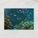 Recherche de aquariums cartes visite Animaux familiers