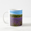 Recherche de la provence tasses Valensole