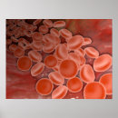 Recherche de cytologie posters Abondance