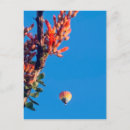 Recherche de ballons cartes postales Nature