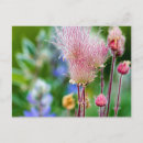 Recherche de fumée cartes postales Flore