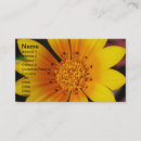 Recherche de marguerite jaune cartes visite Fleur