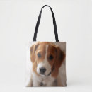 Recherche de foyer sélectif sacs Chiot
