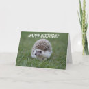 Recherche de hérisson anniversaire cartes Mignon