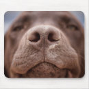 Recherche de labrador retriever tapis souris Pet