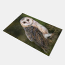 Recherche de hibou paillassons Forêt