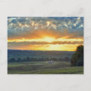 Recherche de foin cartes postales Texas