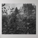 Recherche de dossier posters Paysage