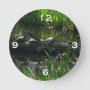 Recherche de de tortue horloges Photographie