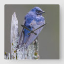 Recherche de martinique horloges Délimiteur danita