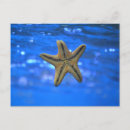 Recherche de etoile cartes postales Nature