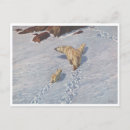 Recherche de richards cartes postales Nature