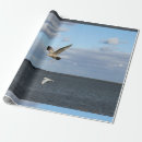 Recherche de mouette papier cadeau Voler