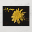 Recherche de cactus cartes postales Travel