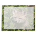 Recherche de renard blocsnotes Faune