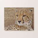 Recherche de cheetah puzzles Faune