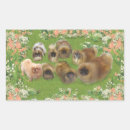 Recherche de magie rectangles autocollants Chiens